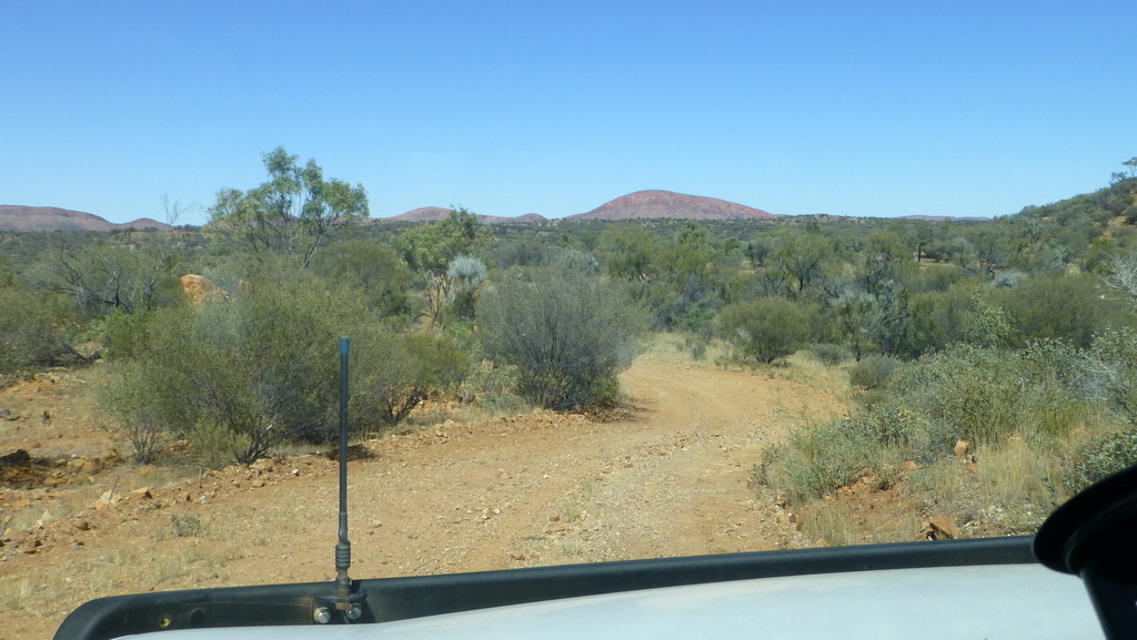 On Undoolya Station, E of Alice Springs