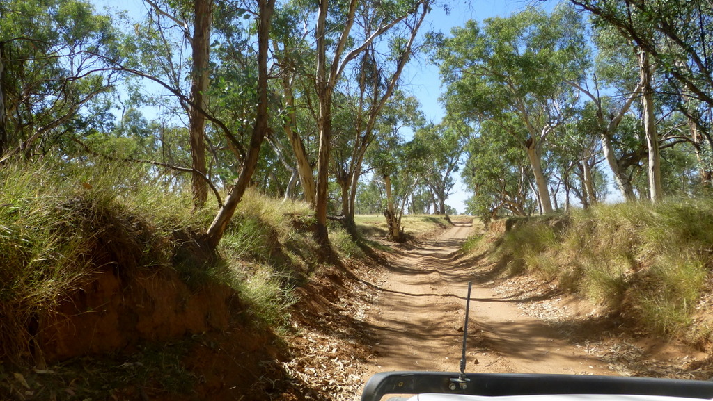 Pic of a track near Old Ambalindum Station, which is NE of Alice Springs