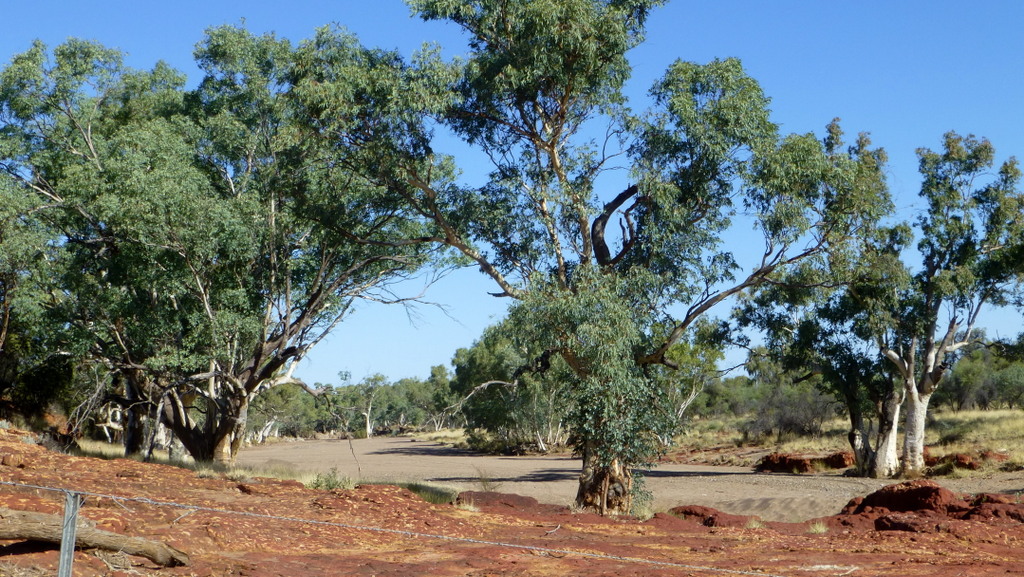 A pic of a wide, dry outback river bed.