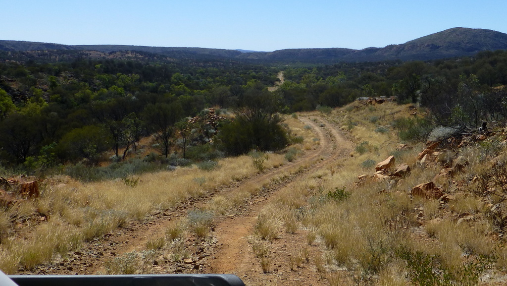 A bit more undulating and heading towards gold country.