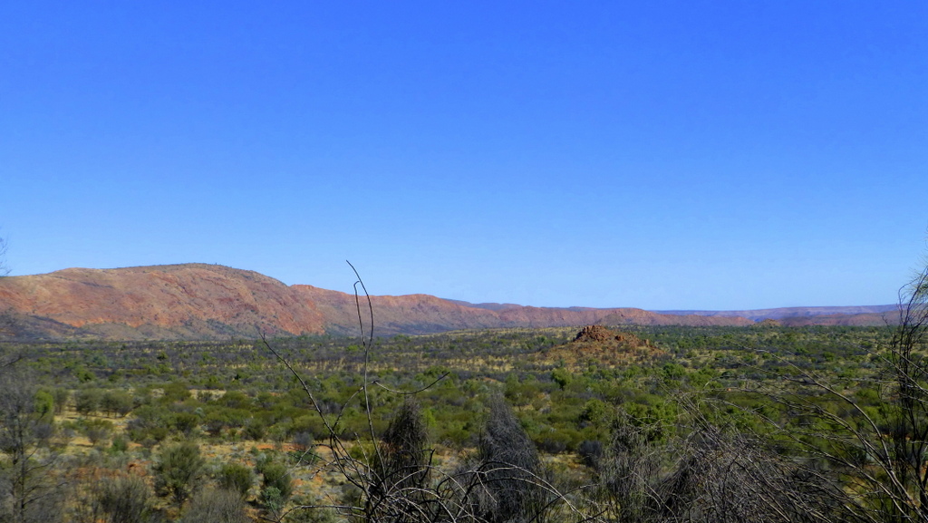 A pic of Mordred Pound