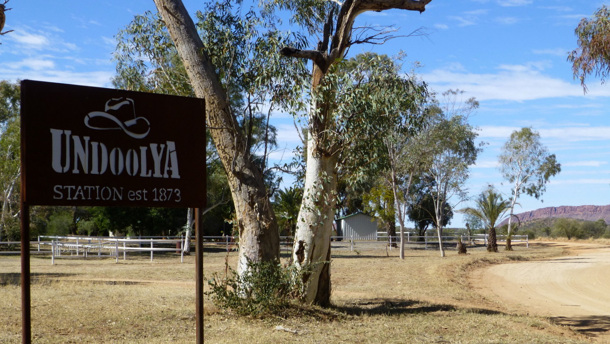 Road into Undoolya Station