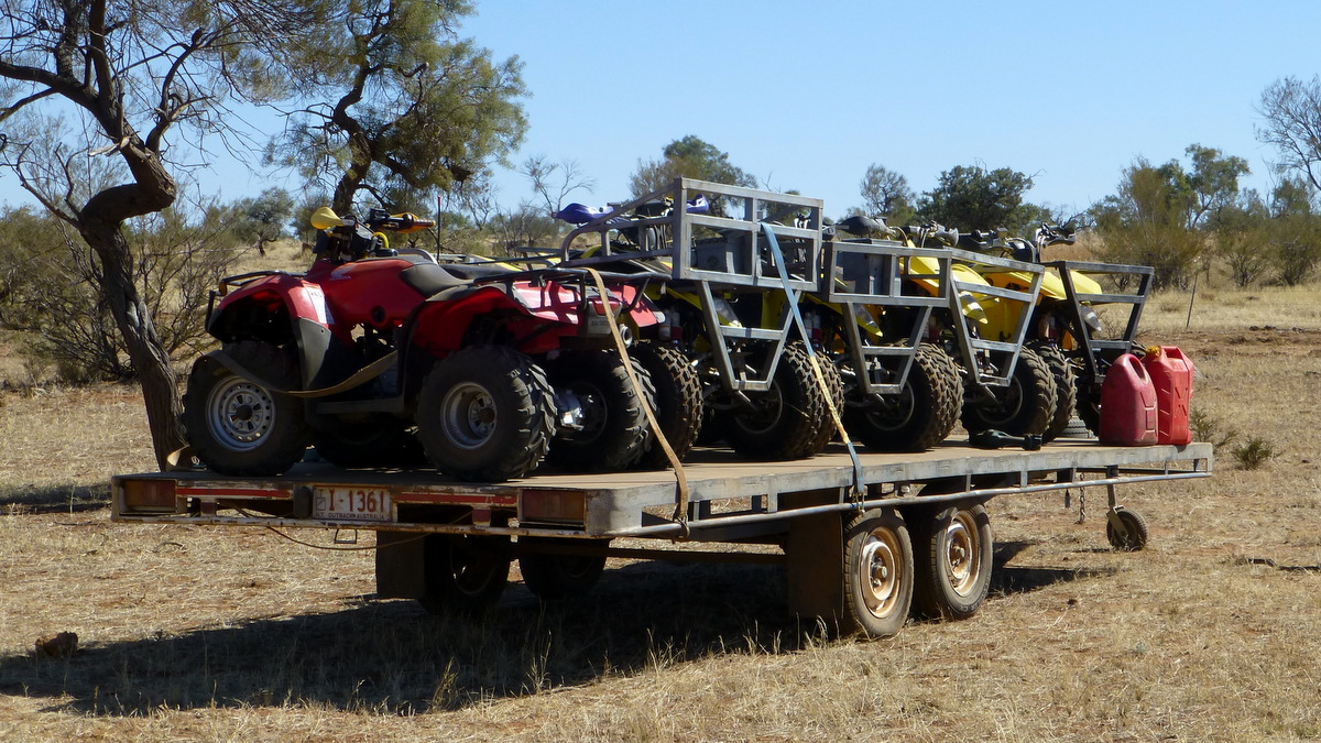 A trailer arrying four quads.