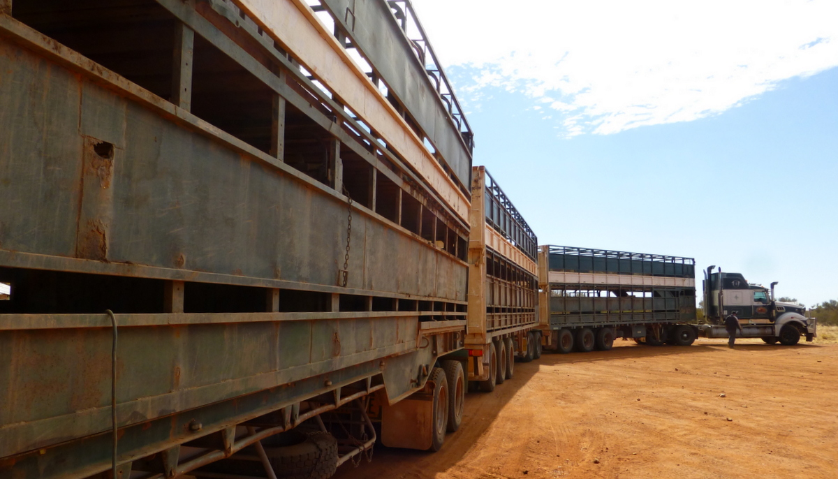 Road Train at Bushy Park
