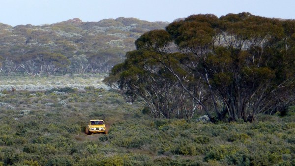 Ross and Lisa Dunkerton's Datsun 1600 on a closed road section near Renmark. 